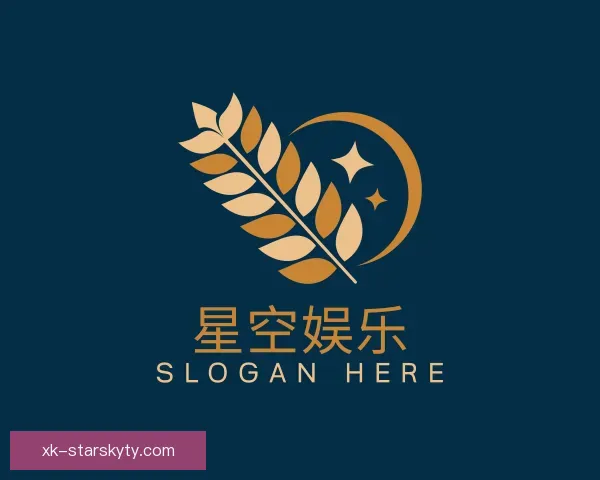 了解星空娱乐官网